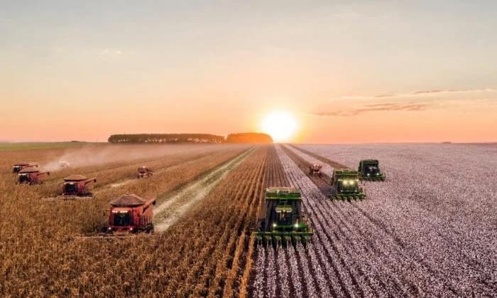 Tarım ÜFE yıllık bazda yüzde 21,77 arttı