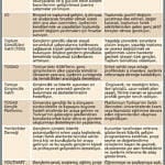 Sivil toplumda gençlik hareketi-1