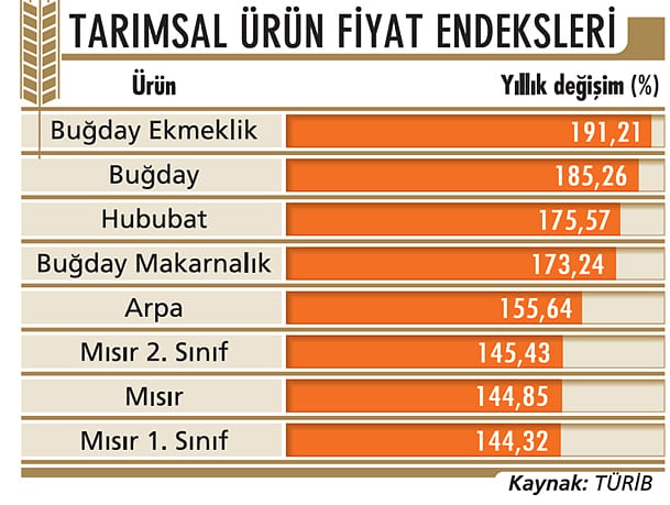 Tahıl koridoru gıda fiyatlarını düşürebilir-1