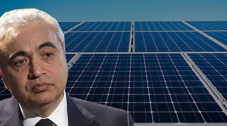 '2050’de dünyanın en büyük enerji kaynağı olacak'