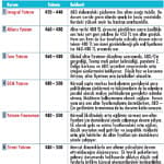 Sonbahar stratejileri-3