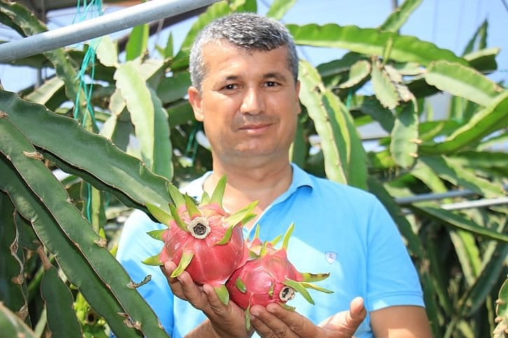 Çiftçinin alternatif ürünü oldu: Tanesi 90 lira-0