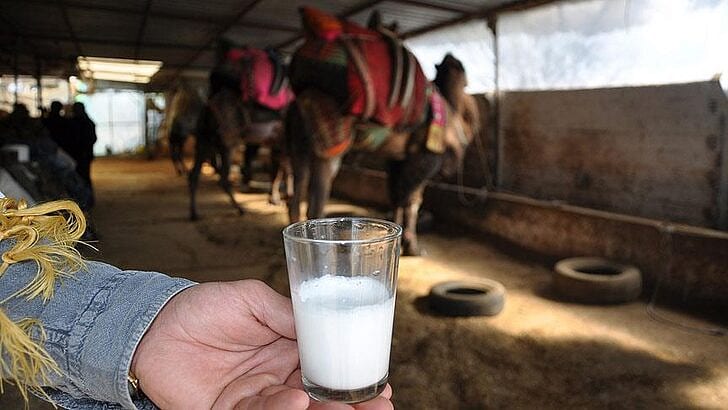Pandemide talebi ikiye katlandı: Litresi 100 lira