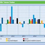 Hangi fon grubu kazandırdı?-0