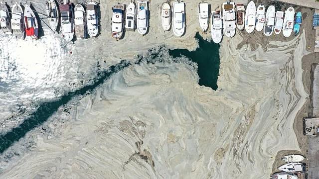 Marmara Denizi eski haline ne zaman dönebilir? Bakan tarih verdi