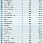Temettü liderleri-0