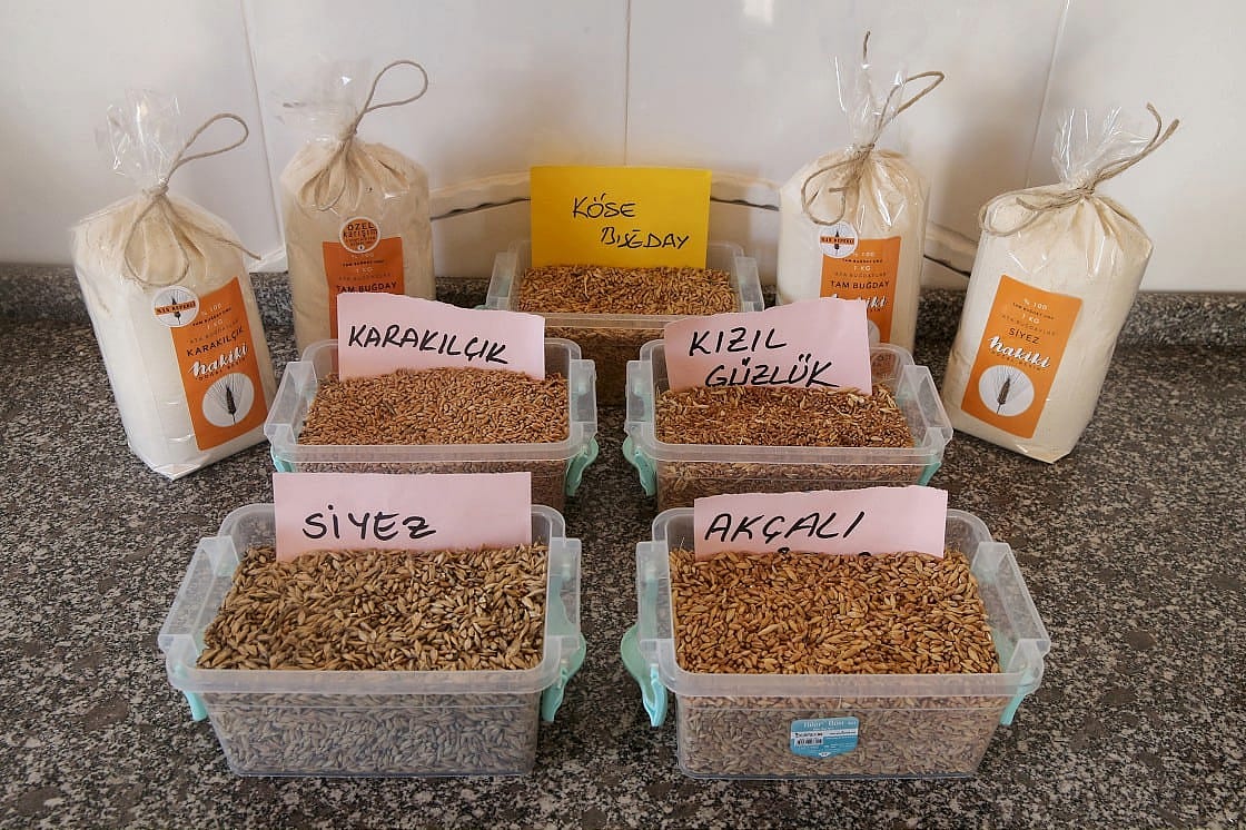Bankacılığı bırakıp çiftçi oldu-1