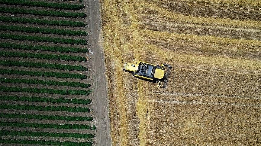 181,2 milyon liralık tarımsal destek ödemeleri bugün yapılacak