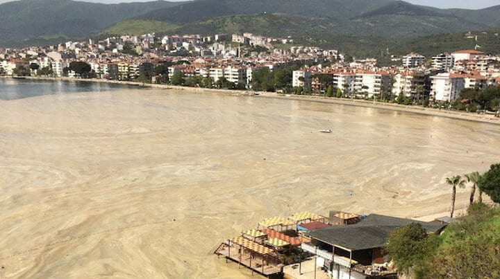 Marmara'da 'müsilaj' kabusu: Balıkçı tekneleri zarar gördü, ağlar kayboldu
