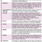 Kadınların el emeğiyle fark yaratan şirketler-0