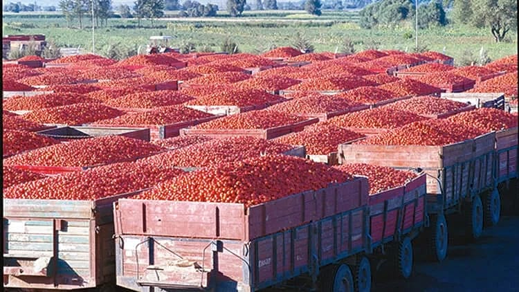 Merko Gıda, satın almaya odaklandı-2