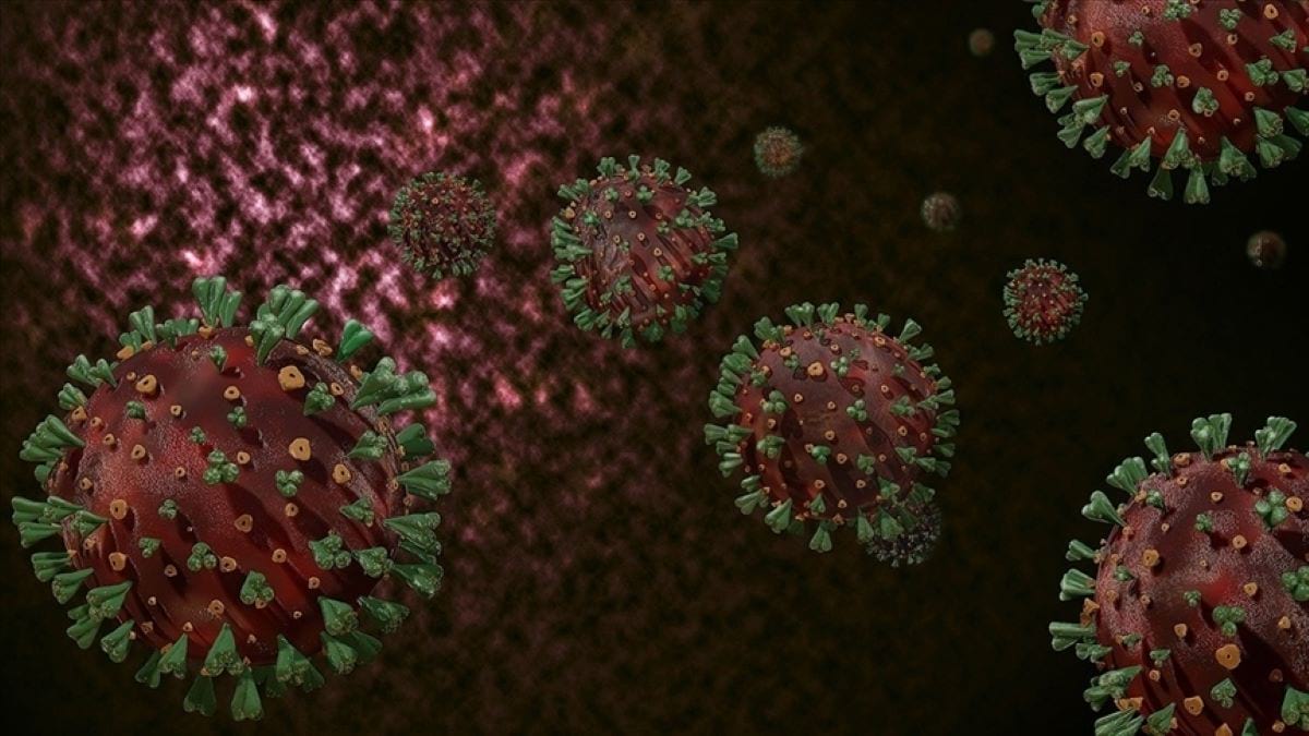 Henüz 'endişe verici' listede değil: Koronavirüsün yeni varyantı 'C.1.2' ile ilgili açıklama var