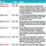 Sonbahar stratejileri-2