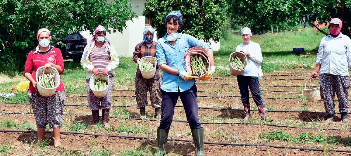 Türkiye’nin kuşkonmaz ihracatçısı olacağız