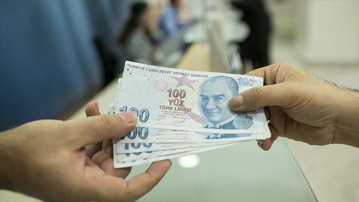 TÜİK verilerine göre Aralık'ta fiyatı en çok artan 10 ürün