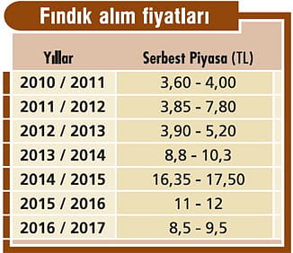 Fındıkta 'var yılı' bereketi yaşanıyor-1