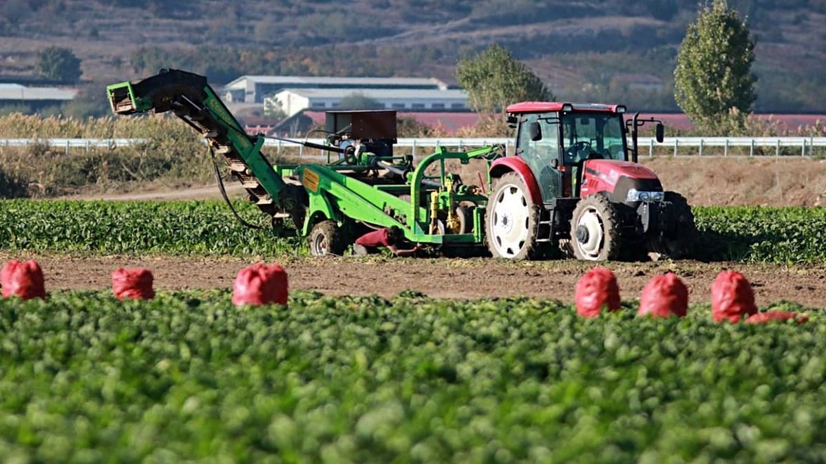 Tarımda cazip yatırım potansiyelleri