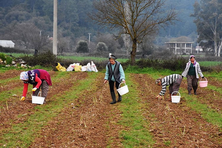 Yöneticilik kariyerini bırakıp, üretici oldu-0