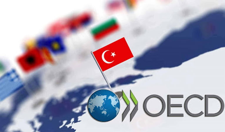 OECD, Türkiye ekonomisi için daralma tahmini düşürdü