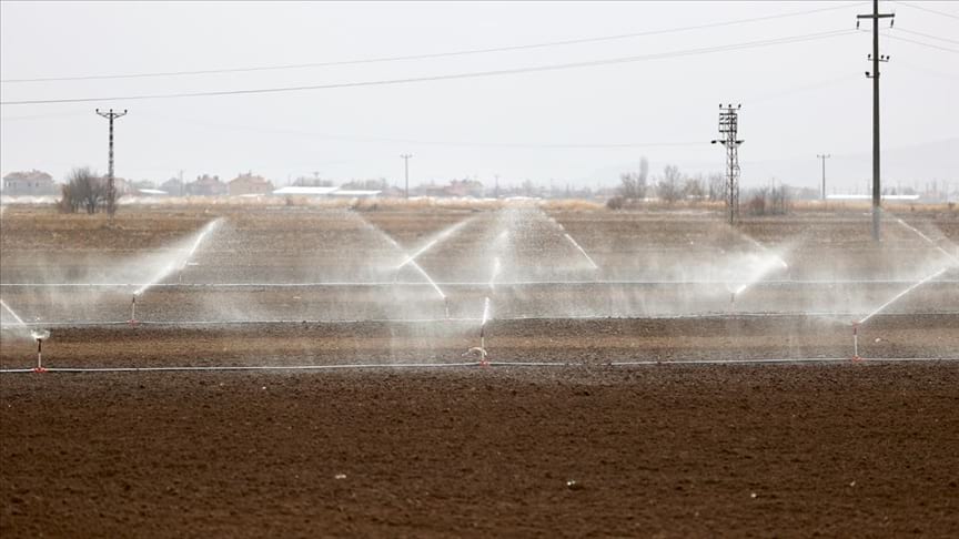 Türkiye'nin 'tahıl ambarında' kuraklık nedeniyle çiftçiler sulamaya kış ortasında başladı