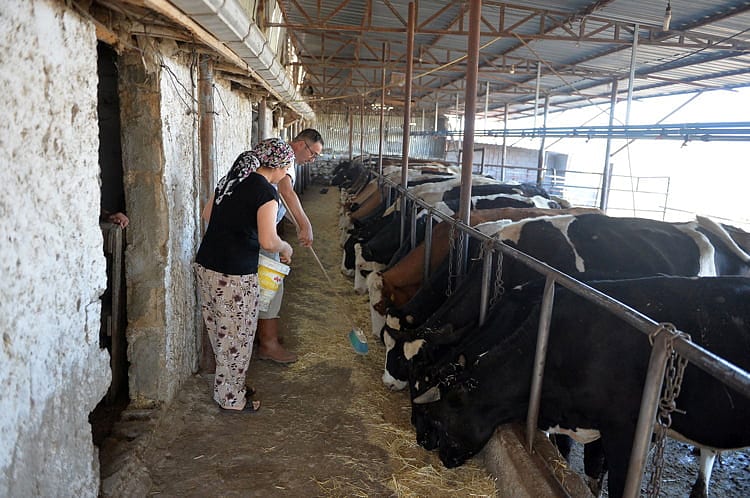 1 inekle başlamıştı, şimdi çiftliği var-3