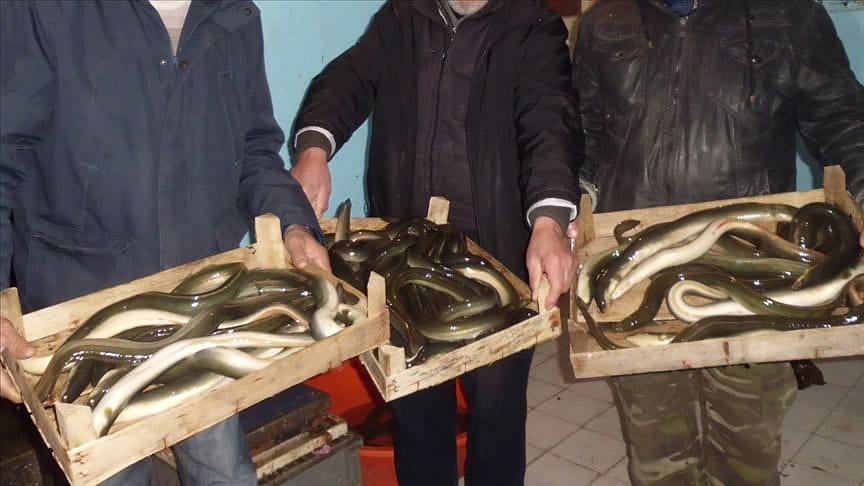 Resmi Gazete'de yayımlandı: İzin alınmadan kullanılamayacak, satılamayacak!
