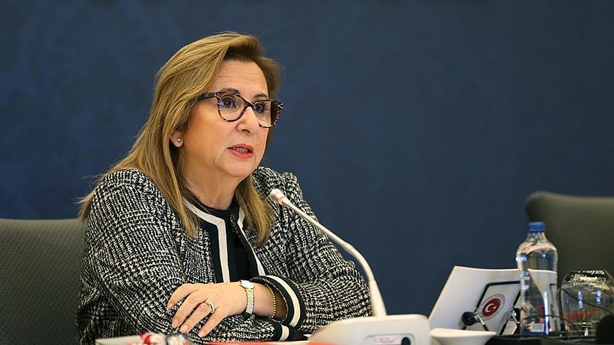 'Türk Eximbank 380 milyon euro kredi sağladı'