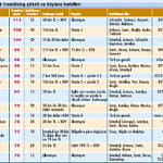 100 franchising-4