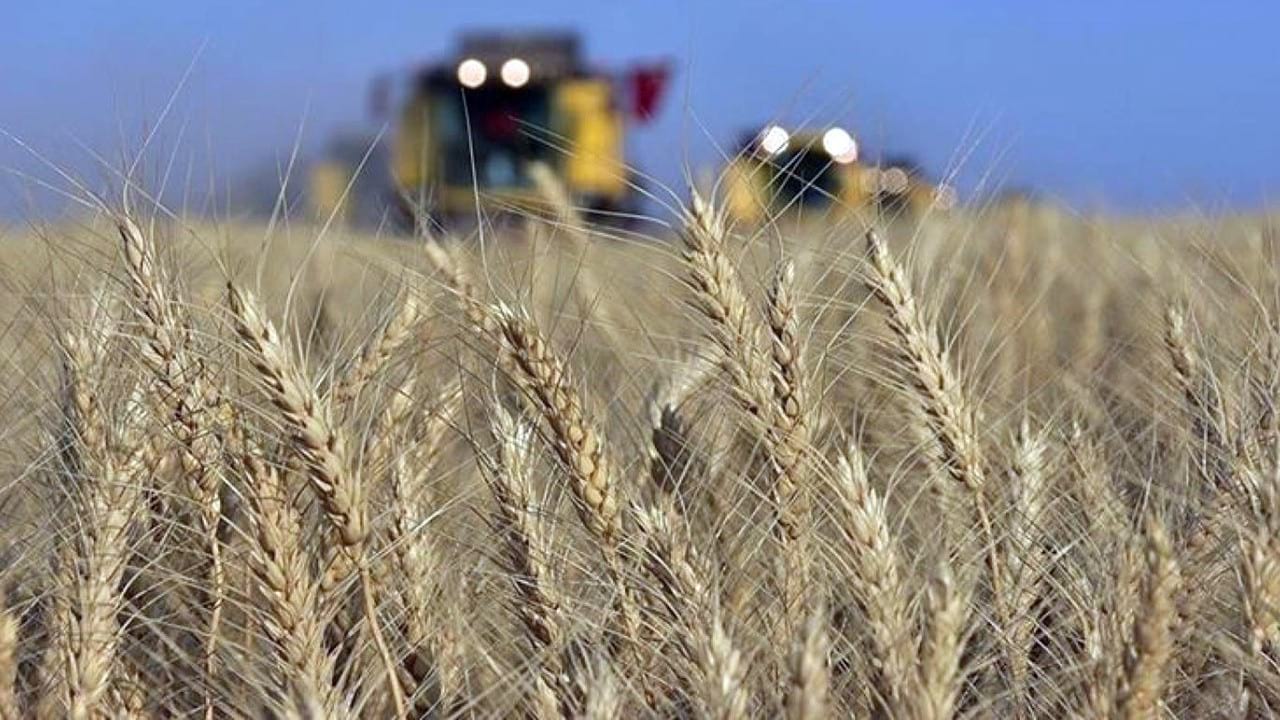 Küresel gıda fiyatları tüm zamanların zirvesinde 