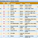 100 franchising-8
