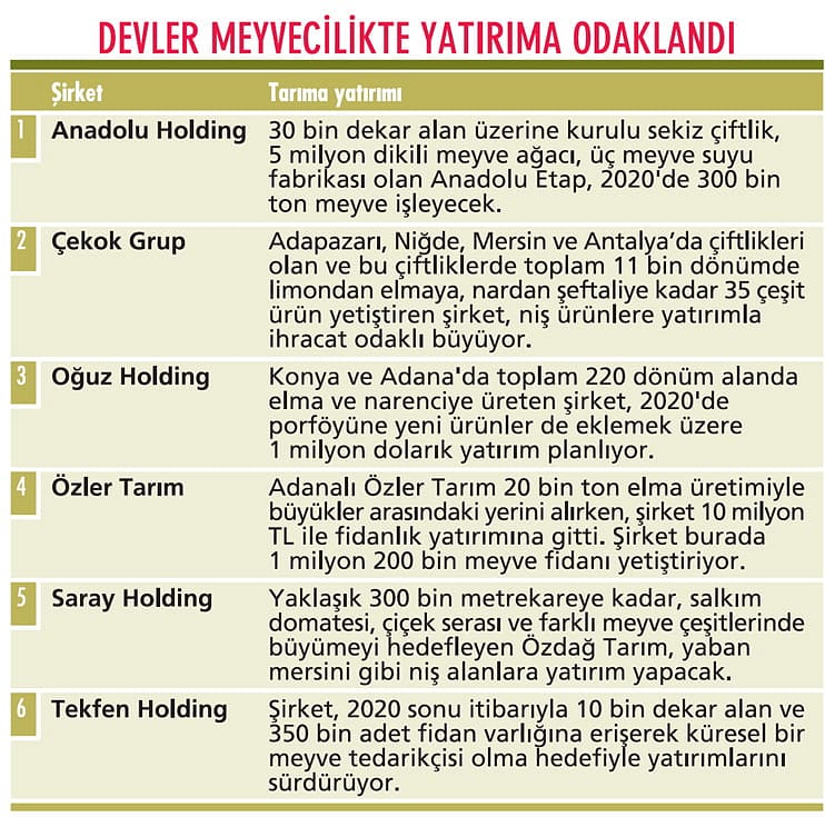 Devler toprağa ‘yatırım ekiyor’-0