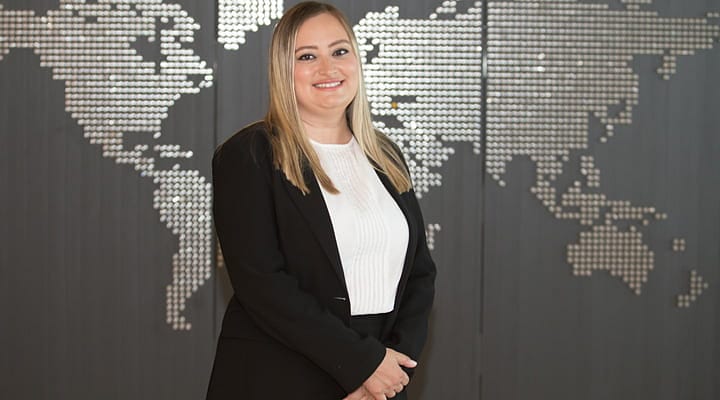 EY Türkiye’de sektör lideri