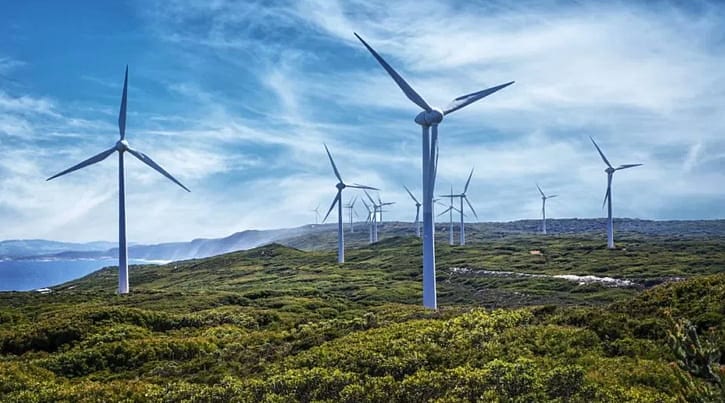 Garanti BBVA 3 milyon ağacı kurtaracak