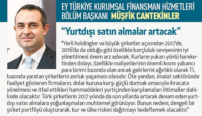 Holdinglerin 2017 planları-4