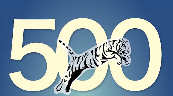 500 Büyük Anadolu Şirketi