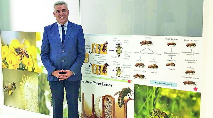 Arıcılar için ‘bal’ gibi tesis kurdular