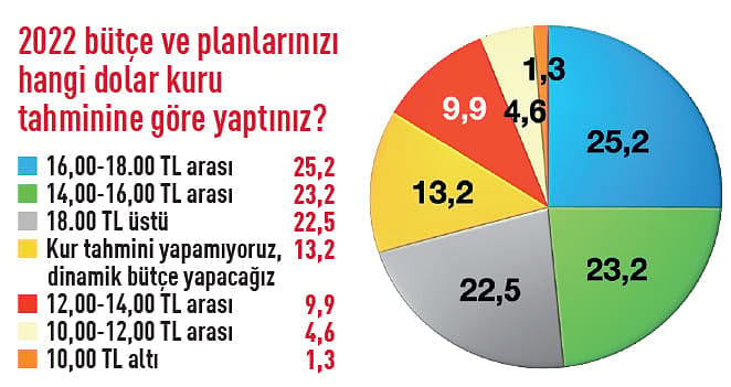 12 soruluk anket: 158 CEO 2O22’den ne bekliyor?-6
