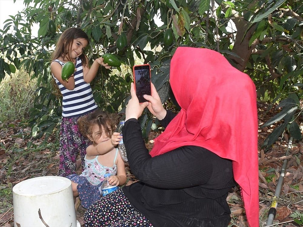 'Avokadocu Ayşe' markasıyla kendi işinin patronu oldu-2