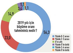 CEO'ların 2019 beklentileri-2