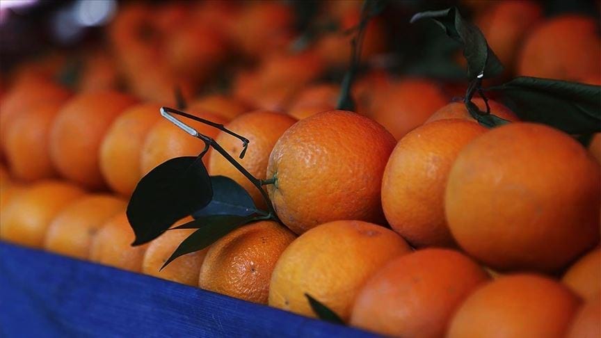 Türkiye'nin portakal ihracatı pandemide yüzde 41 arttı
