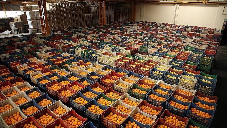 2020'de yaş meyve sebze ihracatına damga vuran 5 ürün