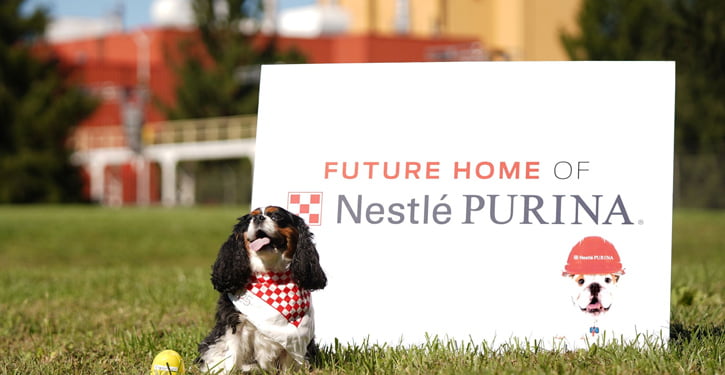 Nestlé Purina’dan sosyal sorumluluk projesi