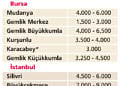 Müsilaj sayfiyelerde fiyatları düşürecek mi?-1