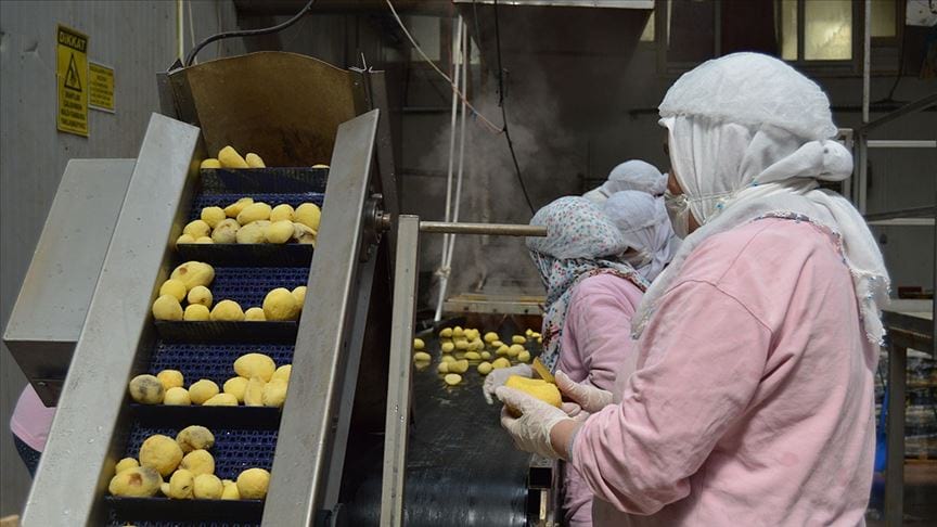 Türkiye'nin sanayi devleri listesine gıda firmaları damga vurdu