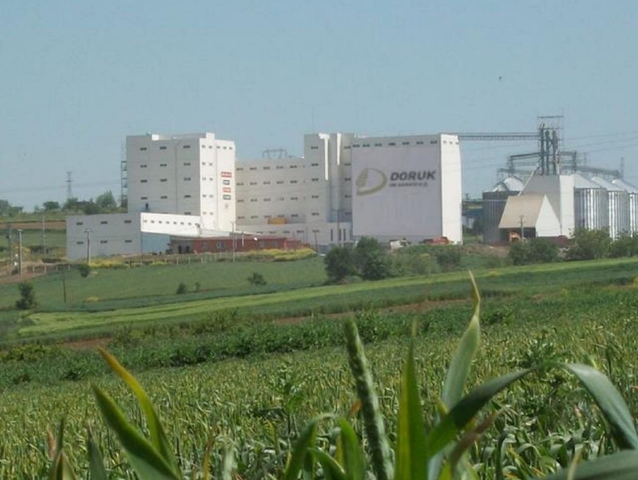 Doruk Un CEO'su Gürsel Erbap'tan 'Tahıl Koridoru' yorumu