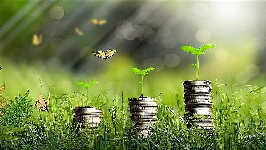 Yeşil dönüşüm projesi olan genç girişimcilere 200 bin TL hibe desteği