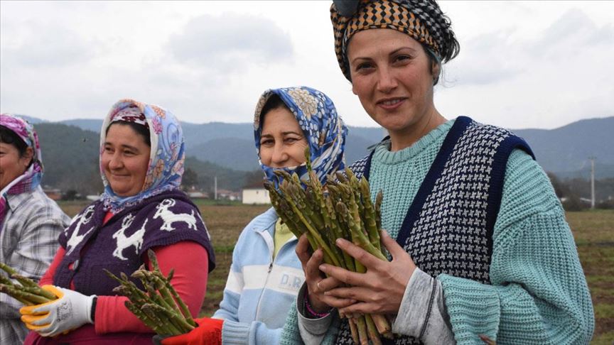 Yöneticilik kariyerini bırakıp, üretici oldu