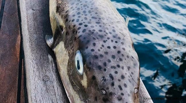 Uygulama başladı: Kuyruk başına 5 lira-6