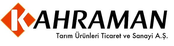 İstihdamını en çok artıran 10 şirket (Çalışan sayısı)-1