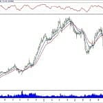 BİST 100 hisselerinin teknik analizi (04.11.2018)-16
